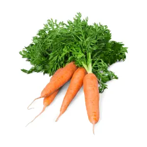 Cuatro zanahorias con tallo