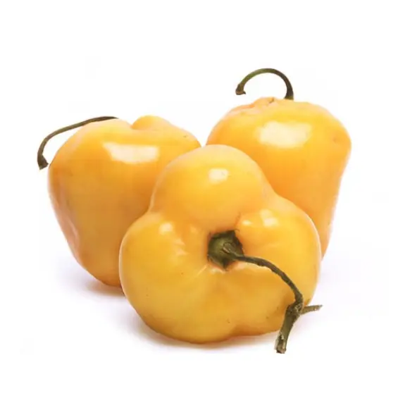 Tres chiles manzano completos amarillos