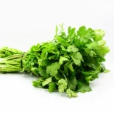 Manojo de cilantro