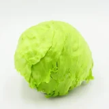 Lechuga completa