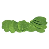 trece nopales sin espinas