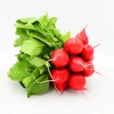 Diez rábanos con hoja verde